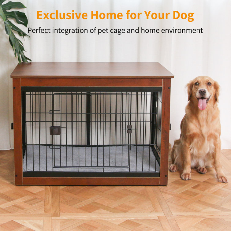 Dog shop home cage